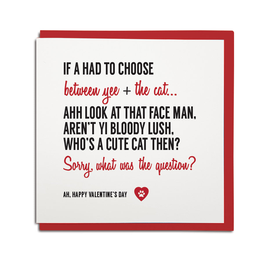 if i had to choose between yee and the cat funny valentines card geordie gifts